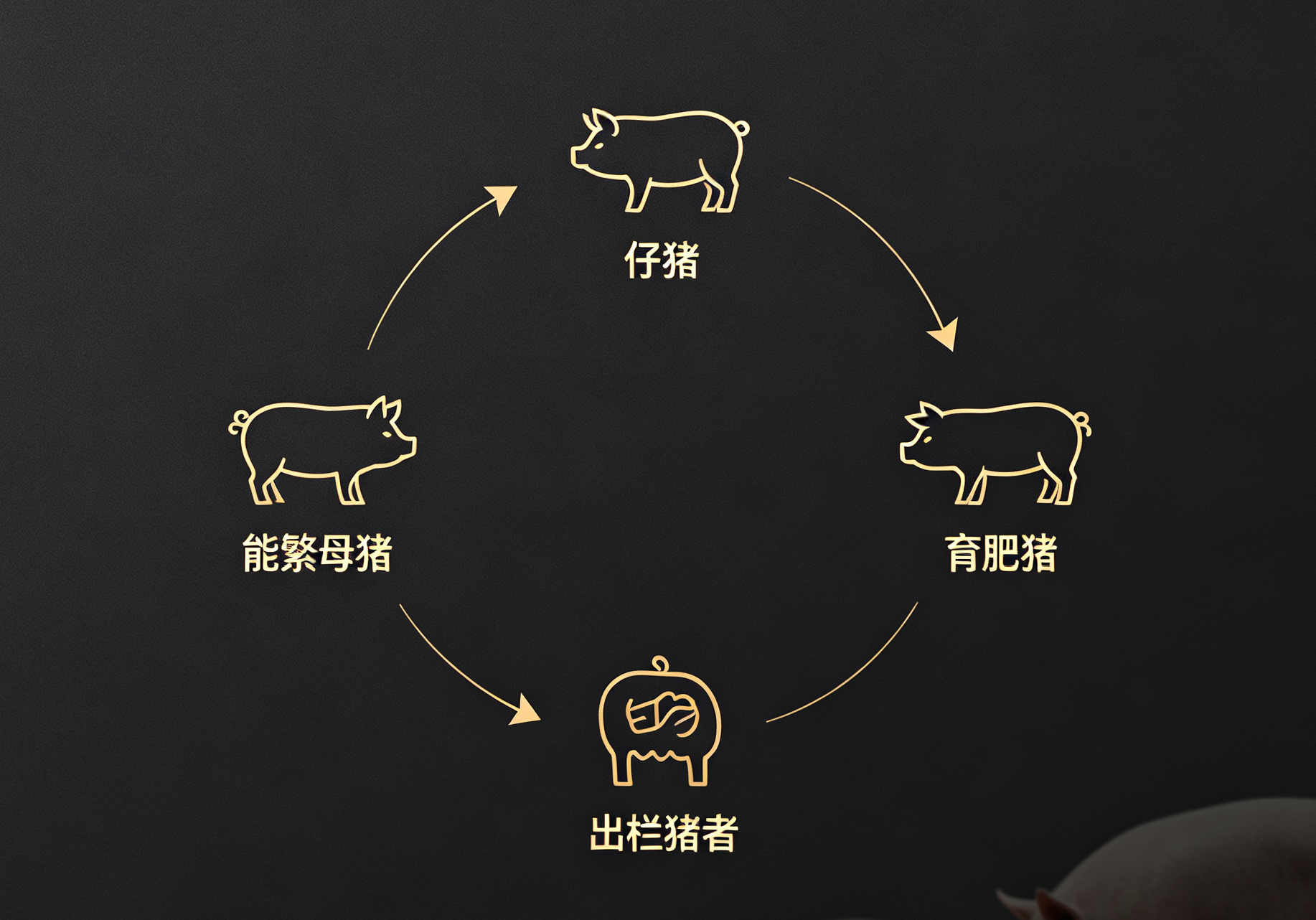猪价周期博弈延续，盘面跟随供需节奏运行示意图