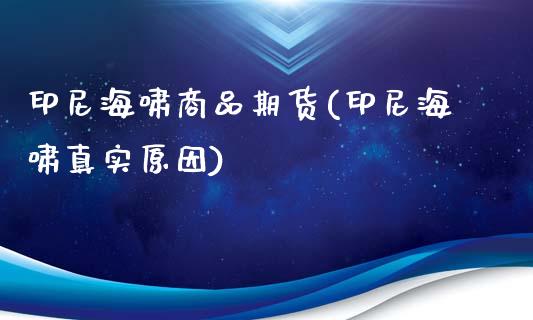 印尼海啸商品期货(印尼海啸真实原因)_https://www.qianjuhuagong.com_期货直播_第1张