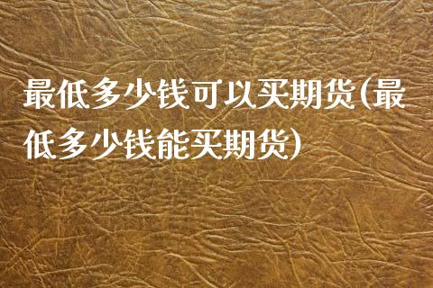 最低多少钱可以买期货(最低多少钱能买期货)_https://www.qianjuhuagong.com_期货直播_第1张