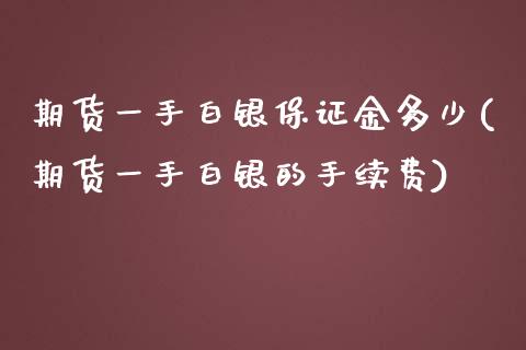 期货一手白银保证金多少(期货一手白银的手续费)_https://www.qianjuhuagong.com_期货直播_第1张