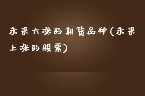 未来大涨的期货品种(未来上涨的股票)_https://www.qianjuhuagong.com_期货开户_第1张