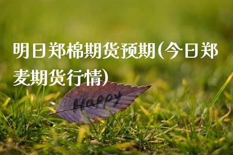 明日郑棉期货预期(今日郑麦期货行情)_https://www.qianjuhuagong.com_期货开户_第1张