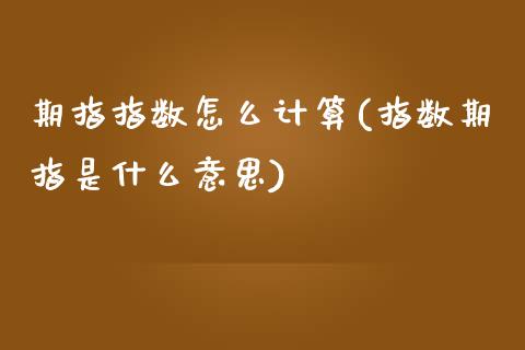 期指指数怎么计算(指数期指是什么意思)_https://www.qianjuhuagong.com_期货直播_第1张