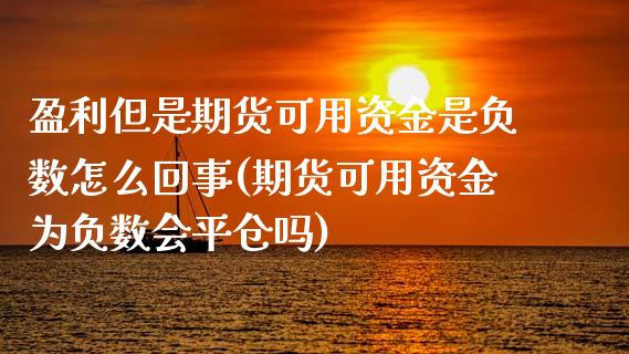 盈利但是期货可用资金是负数怎么回事(期货可用资金为负数会平仓吗)_https://www.qianjuhuagong.com_期货百科_第1张