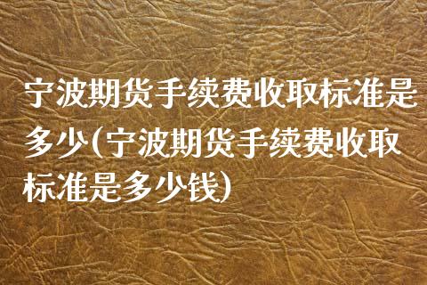 宁波期货手续费收取标准是多少(宁波期货手续费收取标准是多少钱)_https://www.qianjuhuagong.com_期货开户_第1张