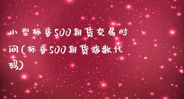 小型标普500期货交易时间(标普500期货指数代码)_https://www.qianjuhuagong.com_期货百科_第1张