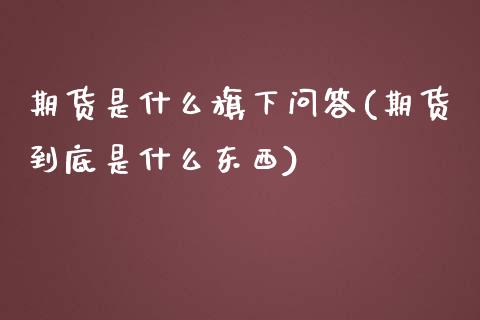 期货是什么旗下问答(期货到底是什么东西)_https://www.qianjuhuagong.com_期货开户_第1张