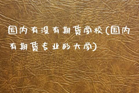 国内有没有期货学校(国内有期货专业的大学)_https://www.qianjuhuagong.com_期货行情_第1张