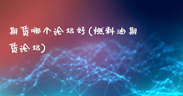 期货哪个论坛好(燃料油期货论坛)_https://www.qianjuhuagong.com_期货百科_第1张