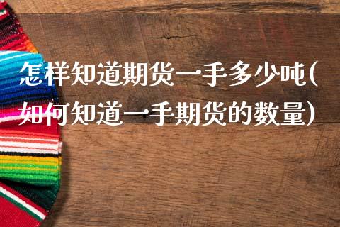 怎样知道期货一手多少吨(如何知道一手期货的数量)_https://www.qianjuhuagong.com_期货开户_第1张