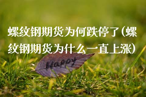 螺纹钢期货为何跌停了(螺纹钢期货为什么一直上涨)_https://www.qianjuhuagong.com_期货开户_第1张