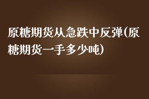 原糖期货从急跌中反弹(原糖期货一手多少吨)_https://www.qianjuhuagong.com_期货直播_第1张