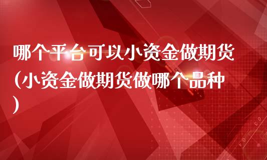 哪个平台可以小资金做期货(小资金做期货做哪个品种)_https://www.qianjuhuagong.com_期货开户_第1张