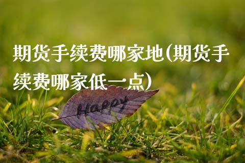 期货手续费哪家地(期货手续费哪家低一点)_https://www.qianjuhuagong.com_期货平台_第1张