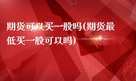 期货可以买一股吗(期货最低买一股可以吗)_https://www.qianjuhuagong.com_期货直播_第1张