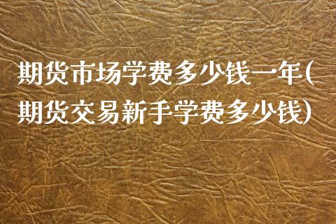 期货市场学费多少钱一年(期货交易新手学费多少钱)_https://www.qianjuhuagong.com_期货行情_第1张