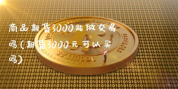 商品期货3000能做交易吗(期货3000元可以买吗)_https://www.qianjuhuagong.com_期货平台_第1张