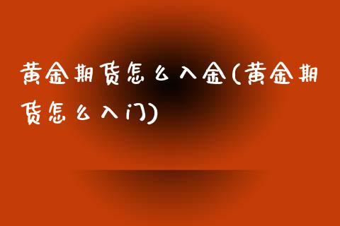 黄金期货怎么入金(黄金期货怎么入门)_https://www.qianjuhuagong.com_期货平台_第1张