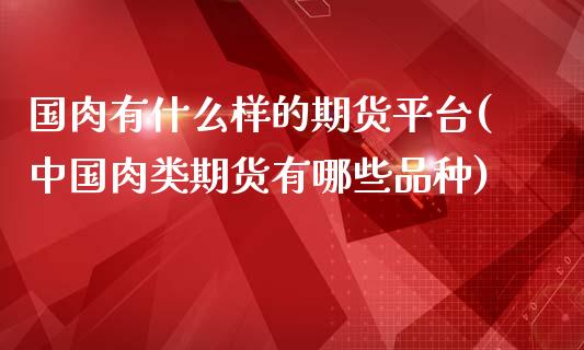 国肉有什么样的期货平台(中国肉类期货有哪些品种)_https://www.qianjuhuagong.com_期货行情_第1张