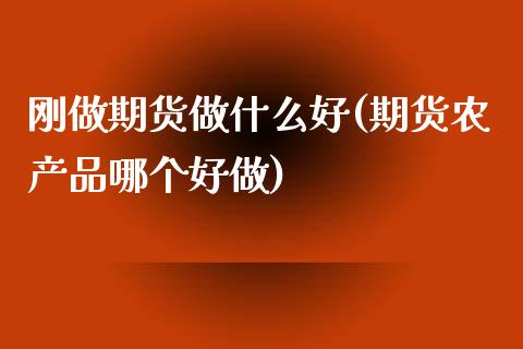 刚做期货做什么好(期货农产品哪个好做)_https://www.qianjuhuagong.com_期货开户_第1张