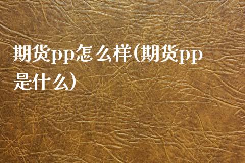 期货pp怎么样(期货pp是什么)_https://www.qianjuhuagong.com_期货开户_第1张