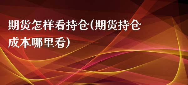 期货怎样看持仓(期货持仓成本哪里看)_https://www.qianjuhuagong.com_期货百科_第1张