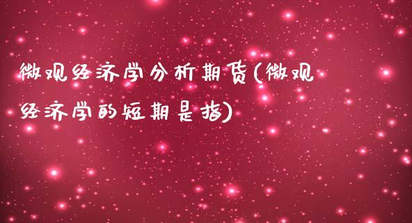 微观经济学分析期货(微观经济学的短期是指)_https://www.qianjuhuagong.com_期货开户_第1张