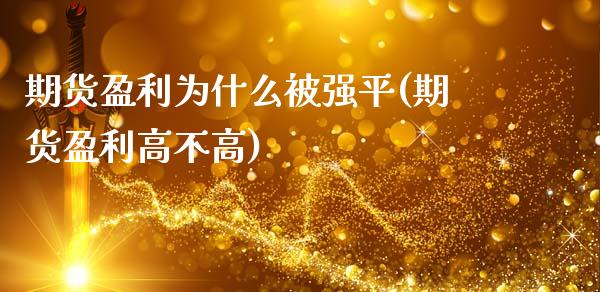 期货盈利为什么被强平(期货盈利高不高)_https://www.qianjuhuagong.com_期货开户_第1张