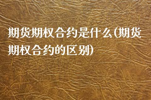 期货期权合约是什么(期货期权合约的区别)_https://www.qianjuhuagong.com_期货平台_第1张