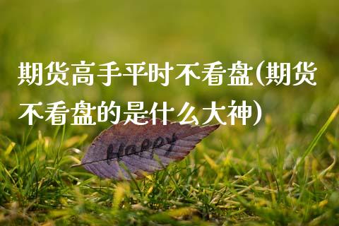 期货高手平时不看盘(期货不看盘的是什么大神)_https://www.qianjuhuagong.com_期货行情_第1张