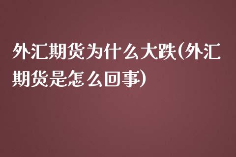 外汇期货为什么大跌(外汇期货是怎么回事)_https://www.qianjuhuagong.com_期货开户_第1张