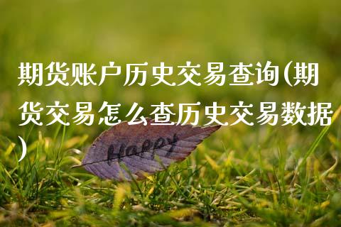 期货账户历史交易查询(期货交易怎么查历史交易数据)_https://www.qianjuhuagong.com_期货行情_第1张