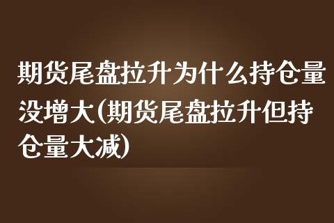 期货尾盘拉升为什么持仓量没增大(期货尾盘拉升但持仓量大减)_https://www.qianjuhuagong.com_期货百科_第1张