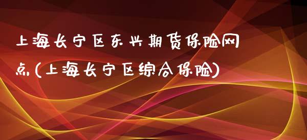 上海长宁区东兴期货保险网点(上海长宁区综合保险)_https://www.qianjuhuagong.com_期货直播_第1张