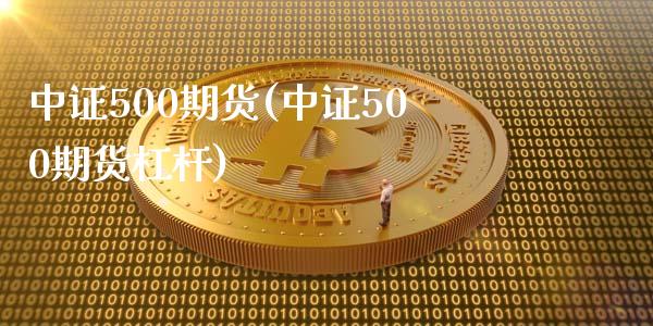 中证500期货(中证500期货杠杆)_https://www.qianjuhuagong.com_期货百科_第1张