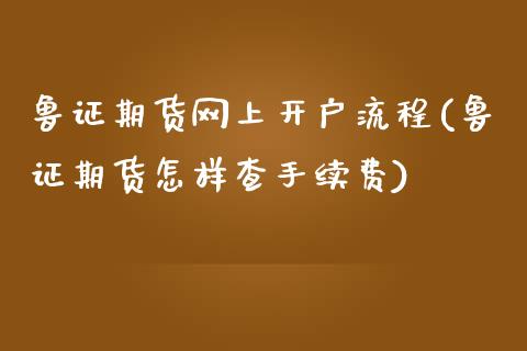 鲁证期货网上开户流程(鲁证期货怎样查手续费)_https://www.qianjuhuagong.com_期货直播_第1张