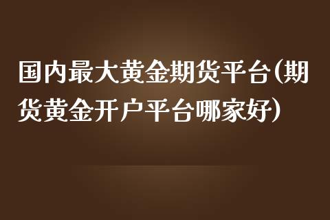 国内最大黄金期货平台(期货黄金开户平台哪家好)_https://www.qianjuhuagong.com_期货开户_第1张