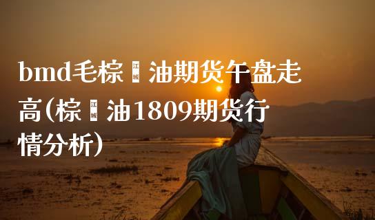 bmd毛棕榈油期货午盘走高(棕榈油1809期货行情分析)_https://www.qianjuhuagong.com_期货百科_第1张