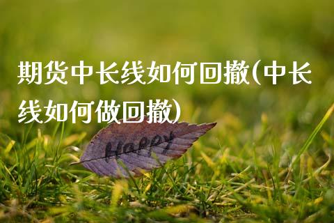 期货中长线如何回撤(中长线如何做回撤)_https://www.qianjuhuagong.com_期货平台_第1张