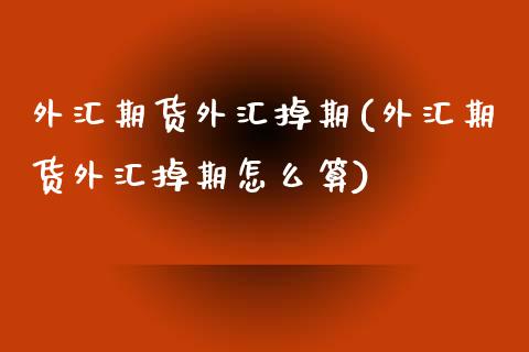 外汇期货外汇掉期(外汇期货外汇掉期怎么算)_https://www.qianjuhuagong.com_期货直播_第1张