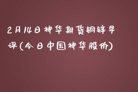 2月14日神华期货铜锌早评(今日中国神华股价)_https://www.qianjuhuagong.com_期货直播_第1张