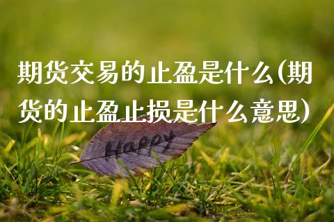 期货交易的止盈是什么(期货的止盈止损是什么意思)_https://www.qianjuhuagong.com_期货行情_第1张