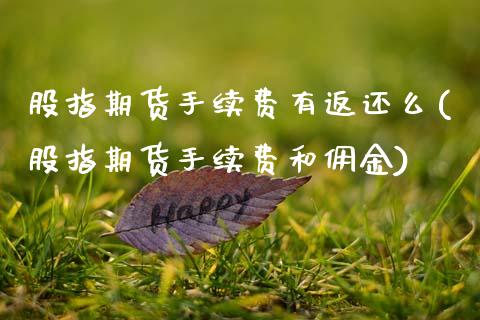 股指期货手续费有返还么(股指期货手续费和佣金)_https://www.qianjuhuagong.com_期货行情_第1张