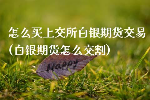 怎么买上交所白银期货交易(白银期货怎么交割)_https://www.qianjuhuagong.com_期货行情_第1张