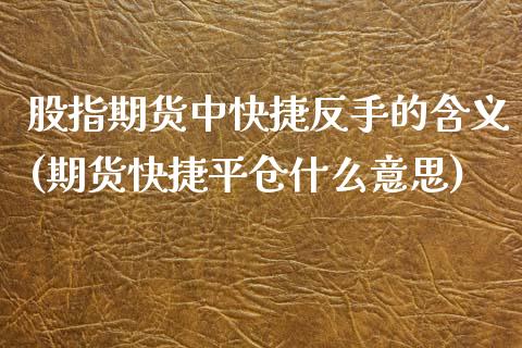 股指期货中快捷反手的含义(期货快捷平仓什么意思)_https://www.qianjuhuagong.com_期货平台_第1张