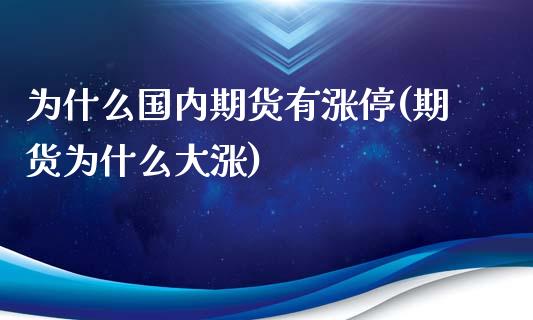 为什么国内期货有涨停(期货为什么大涨)_https://www.qianjuhuagong.com_期货直播_第1张