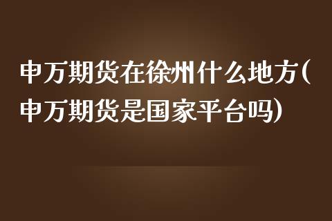 申万期货在徐州什么地方(申万期货是国家平台吗)_https://www.qianjuhuagong.com_期货百科_第1张