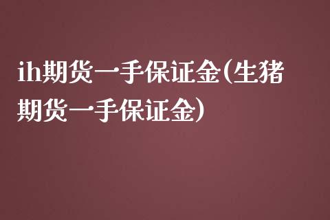 ih期货一手保证金(生猪期货一手保证金)_https://www.qianjuhuagong.com_期货直播_第1张