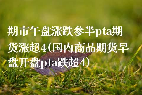 期市午盘涨跌参半pta期货涨超4(国内商品期货早盘开盘pta跌超4)_https://www.qianjuhuagong.com_期货行情_第1张