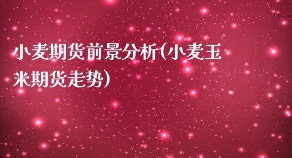 小麦期货前景分析(小麦玉米期货走势)_https://www.qianjuhuagong.com_期货平台_第1张